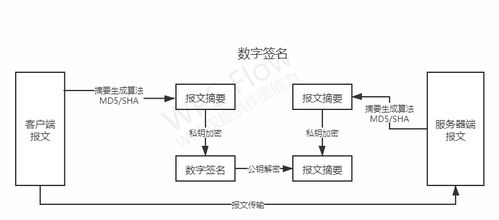 計算機網(wǎng)絡技術(shù)開發(fā) 連接世界的數(shù)字橋梁